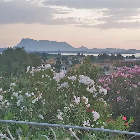 Con Vista *