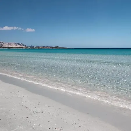 Con Vista *